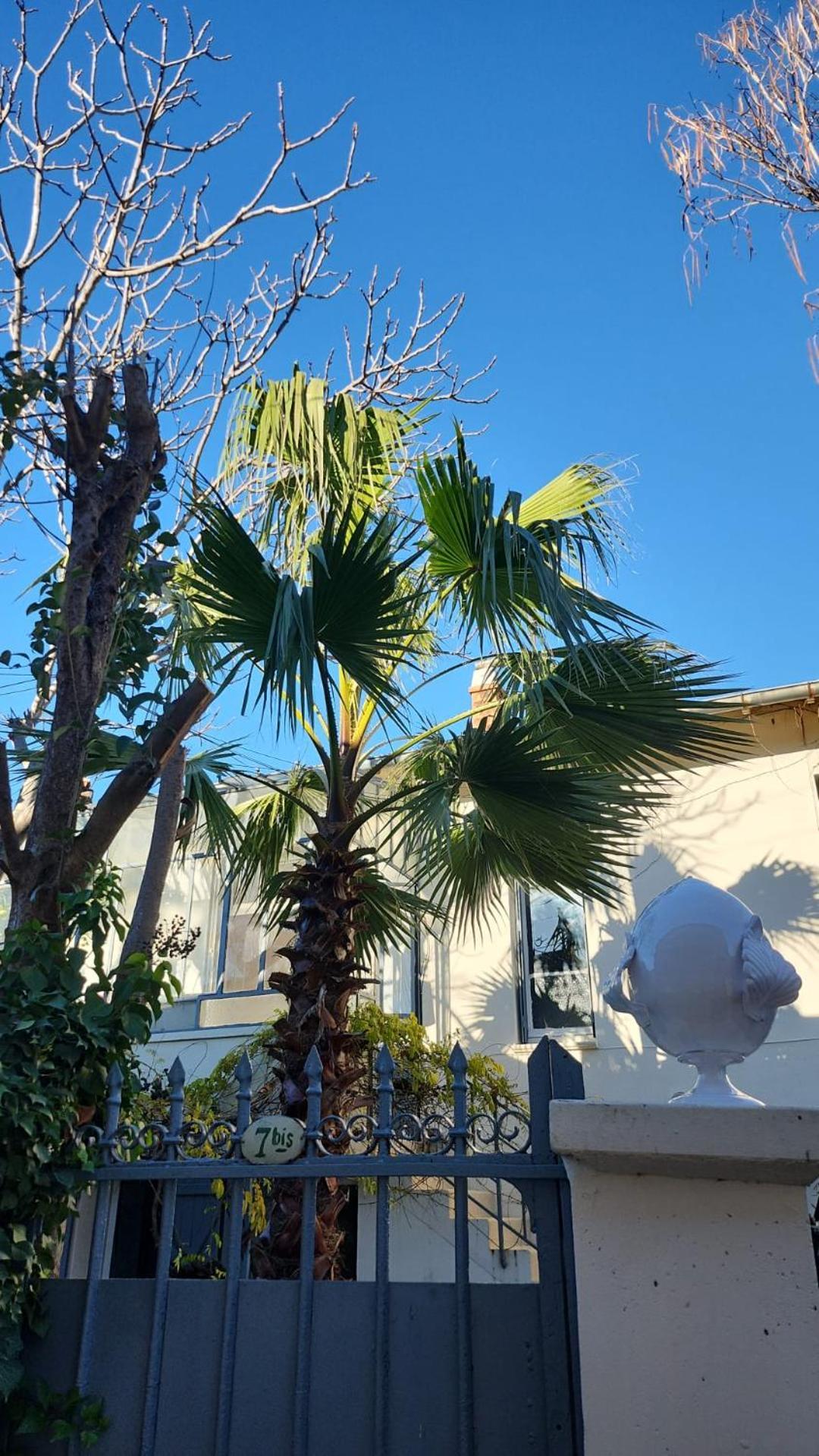 Le Nid Villa Avinyon Dış mekan fotoğraf